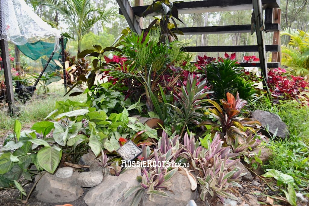 low maintenance garden under the stairs