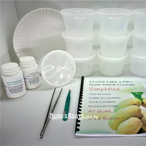 starter Kit Plant Tissue Culture Cloning For Philodendron, Hoya, Anthurium, Alocasia, & Similar