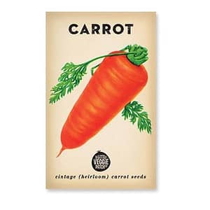 Little Veggie Patch Heirloom seeds - carrot baby amsterdam