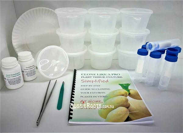 starter Kit Plant Tissue Culture Cloning For Philodendron, Hoya, Anthurium, Alocasia, & Similar