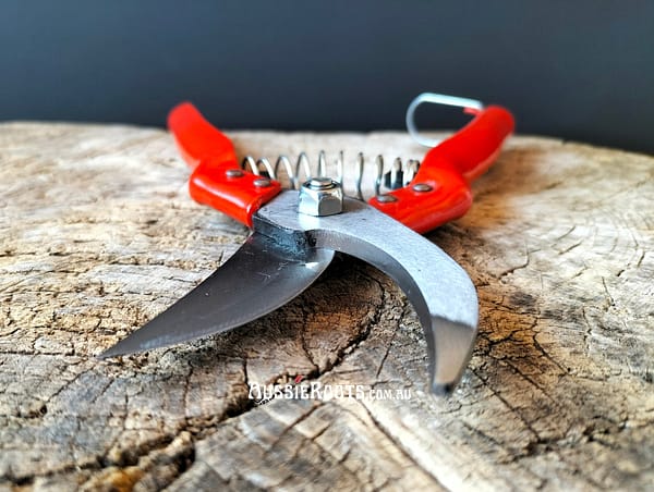 Garden Pruners, Shears, Plant Cutter, Gardening Hand Pruner With Stainless Steel, Personalized Gift For Women