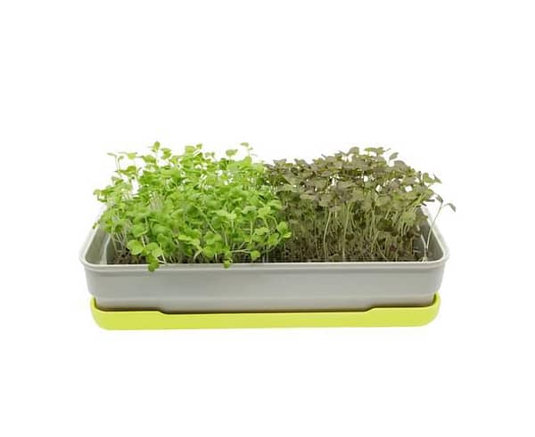 Micropod Starter Kit - [Colour: Grass]