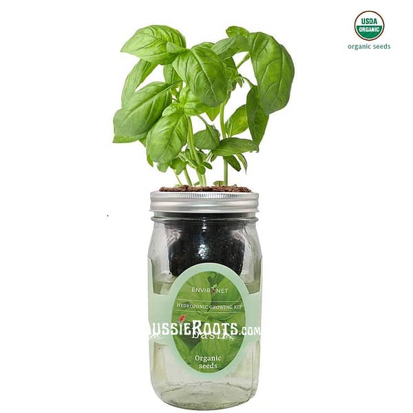 Mason Jar Hydroponic Herb Kit With Organic Seeds, Gardening Gift